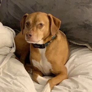 Meet your Posher, Stephen